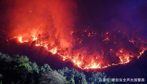 【语音提示器】森林防火的“警钟”该由谁来敲响?