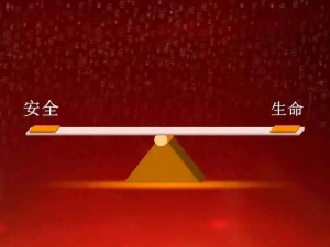 唯创安全社群2021年度复盘（全文无删减版）